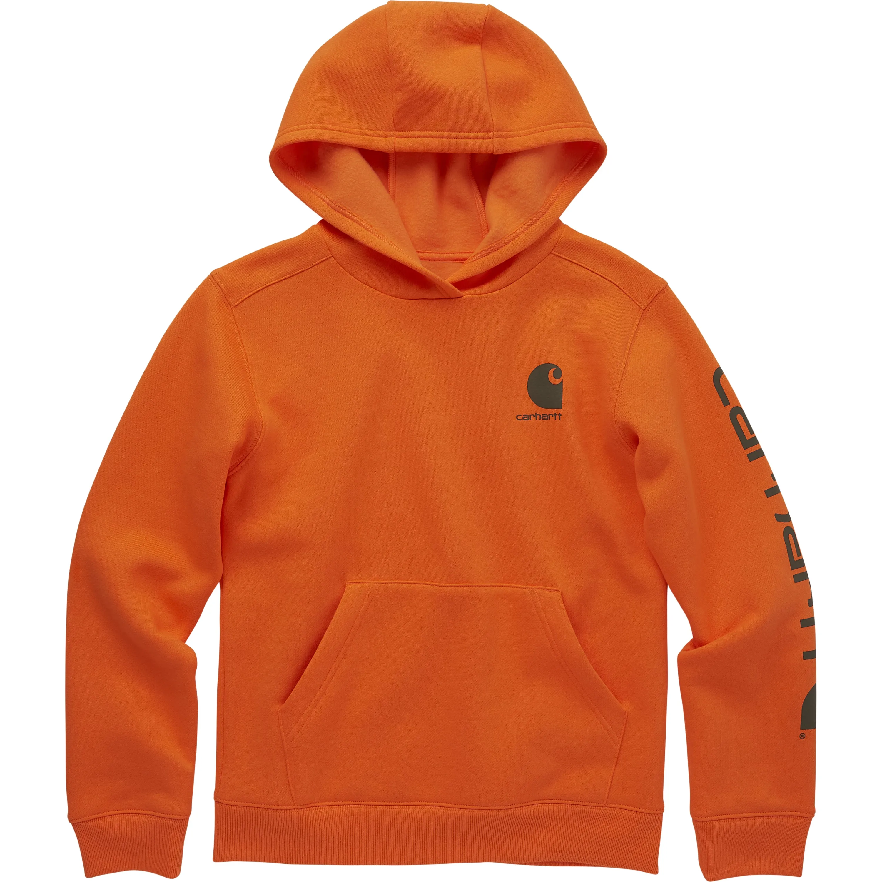 Carhartt Boys' Graphic Long Sleeve Sweatshirt - Shop Now