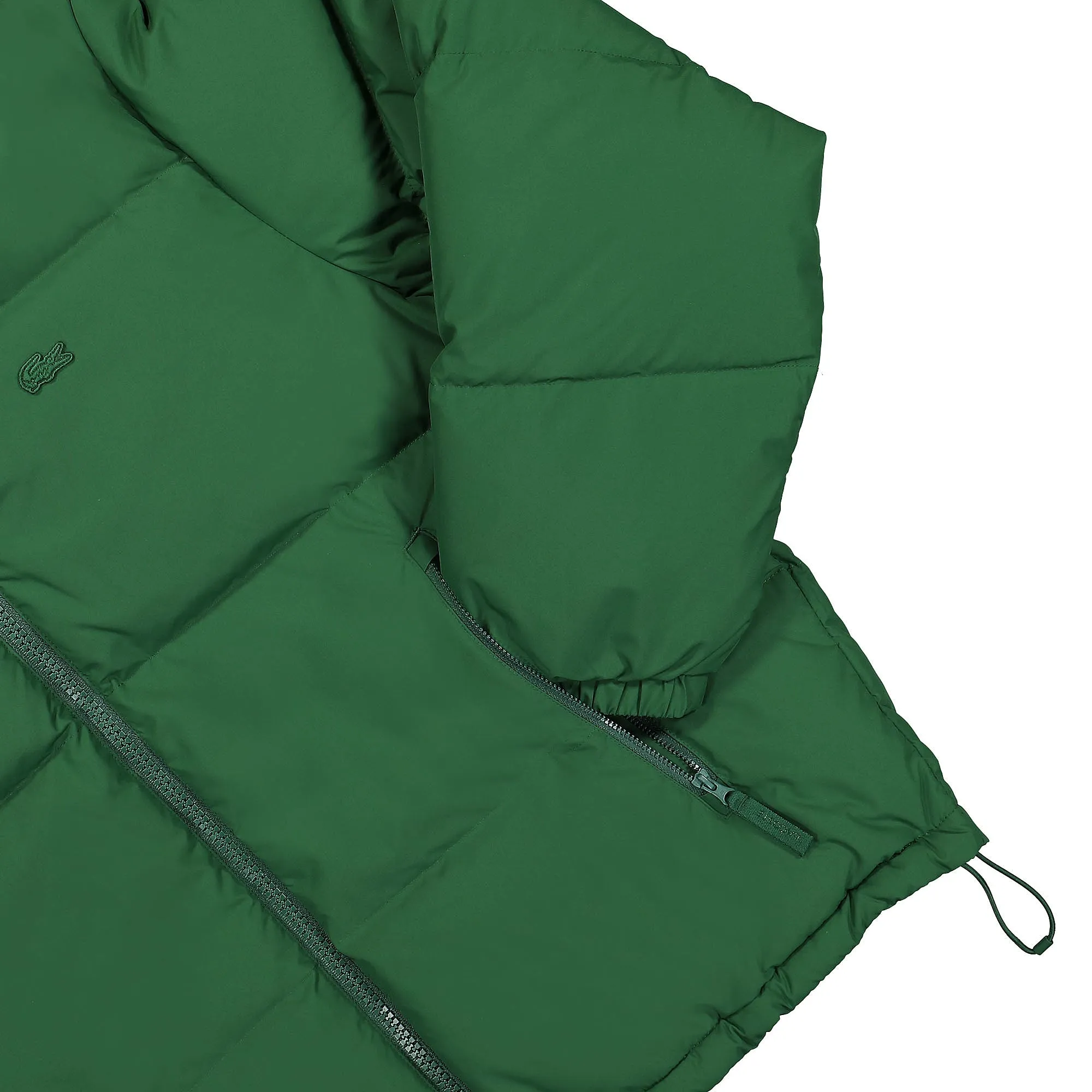 Jacket with Hood and Padding