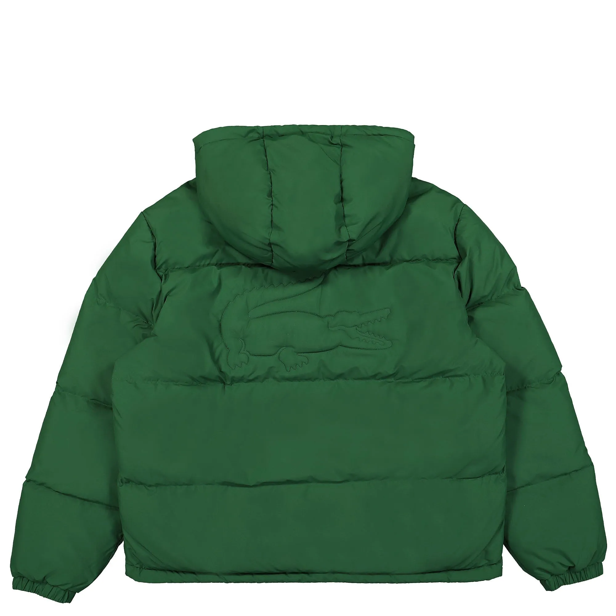 Jacket with Hood and Padding