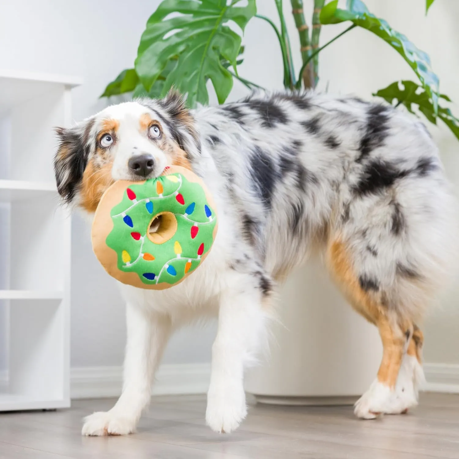 Lit Donut Plush Dog Toy - Small by Huxley & Kent