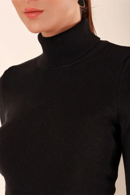 Knit Turtleneck Sweater